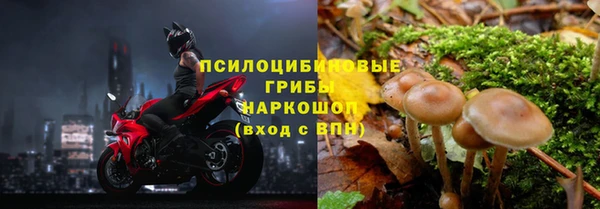 гидра Медногорск