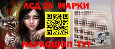 шишки Аргун