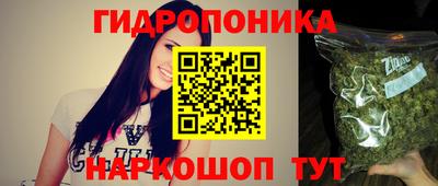шишки Аргун