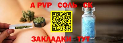 шишки Аргун