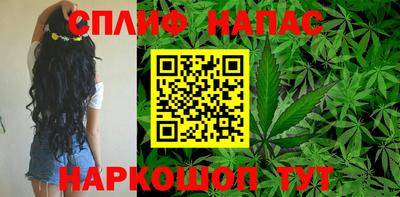 шишки Аргун