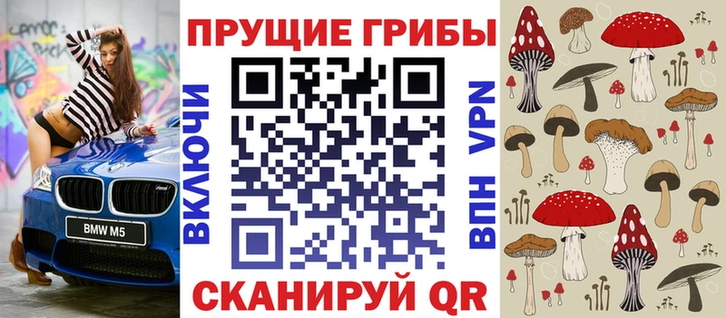 Псилоцибиновые грибы GOLDEN TEACHER  Всеволожск 