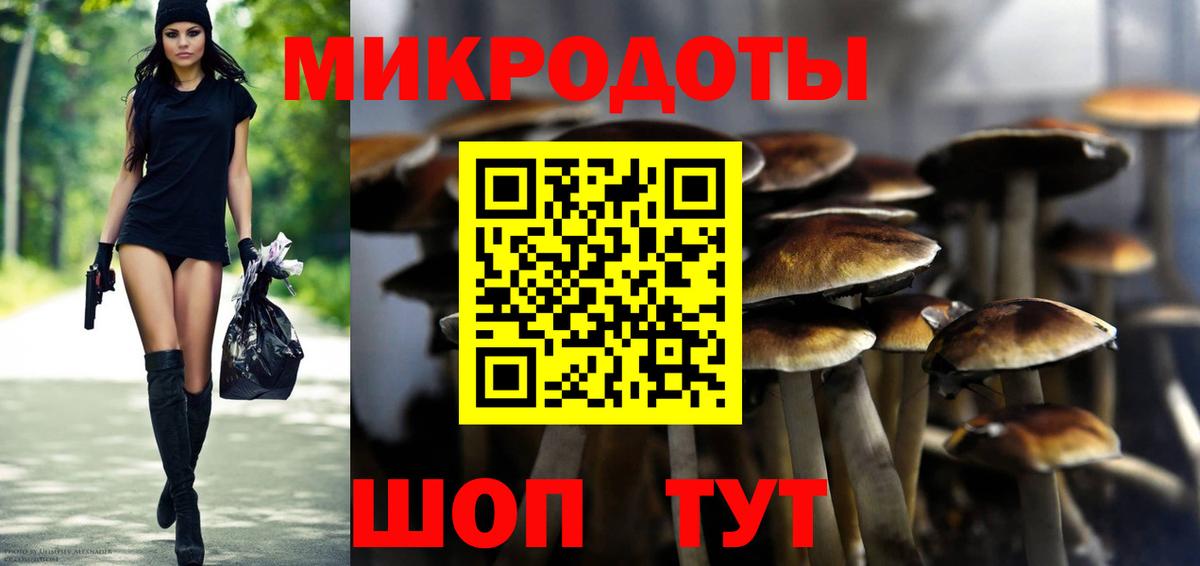 Галлюциногенные грибы Psilocybine cubensis Всеволожск